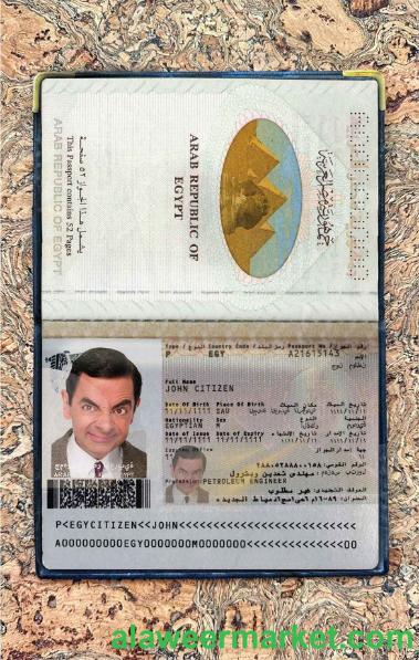 Egypt passport photo look